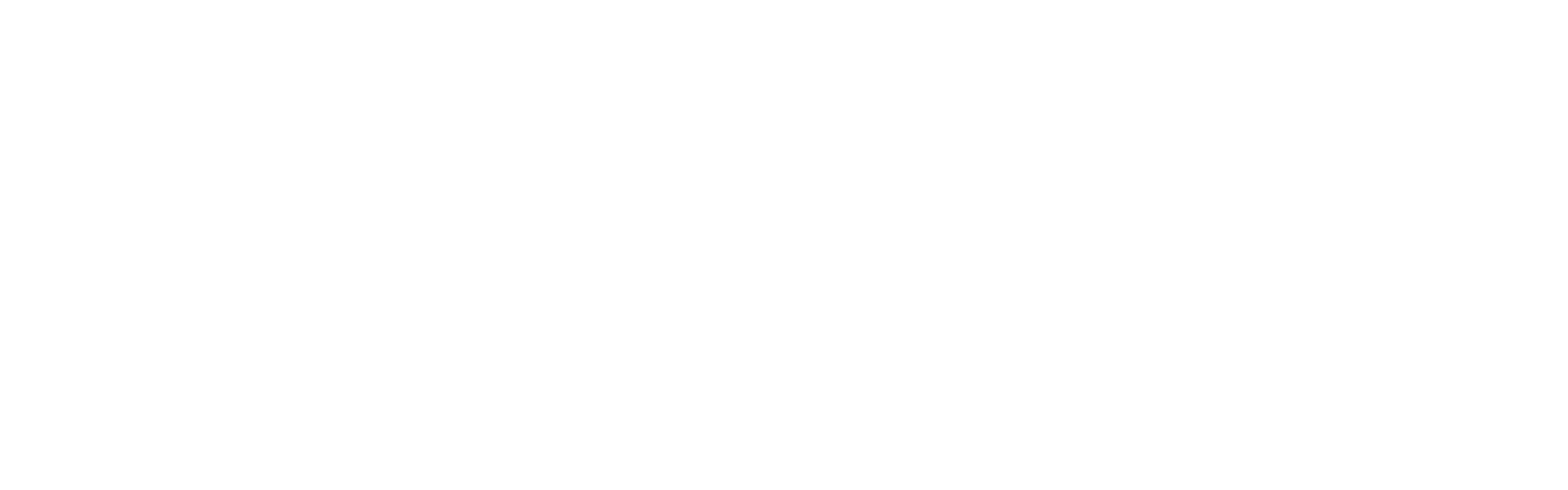 Cryptonec Logo